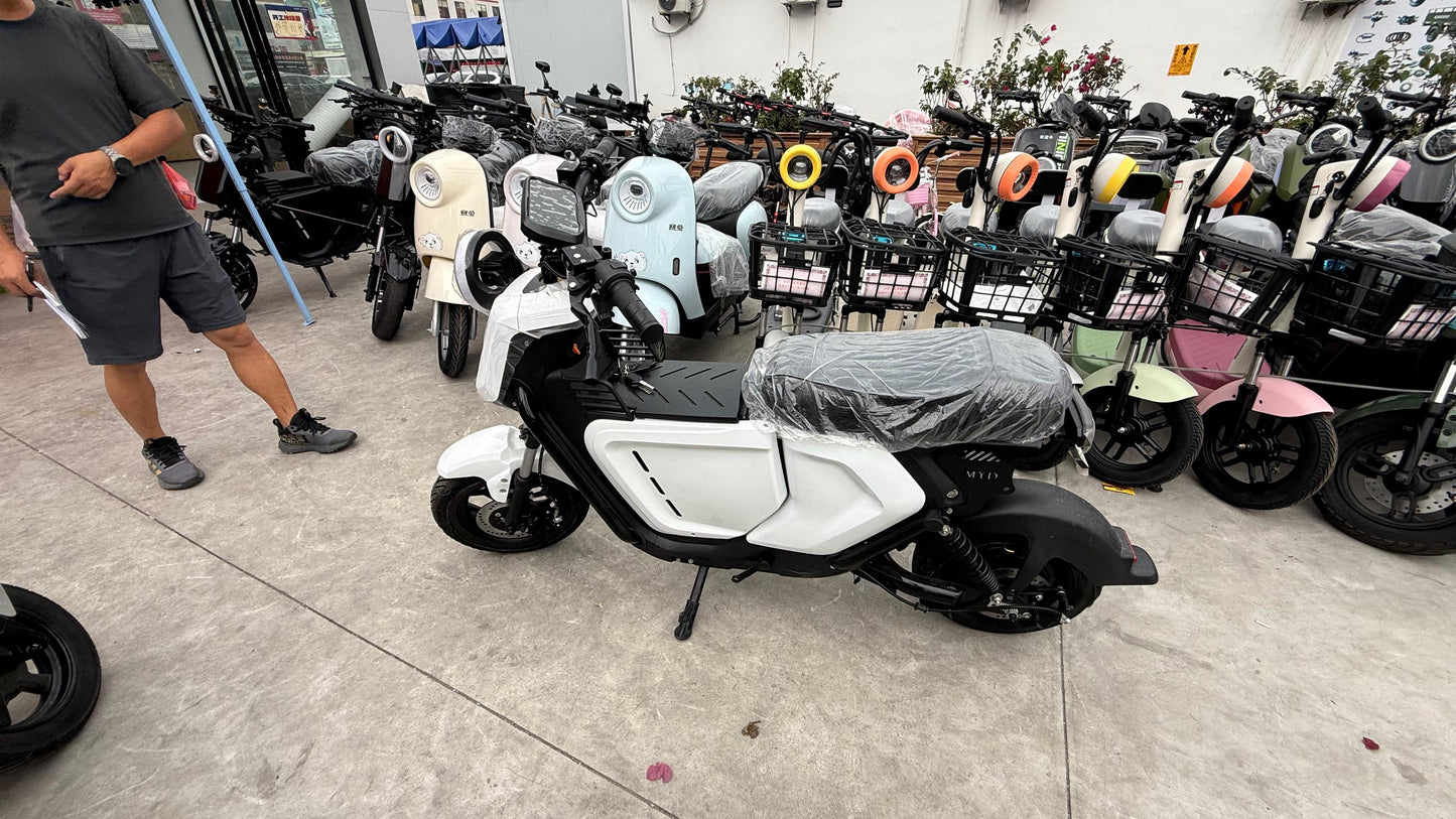 Fully Electric Ebike - Pre Order